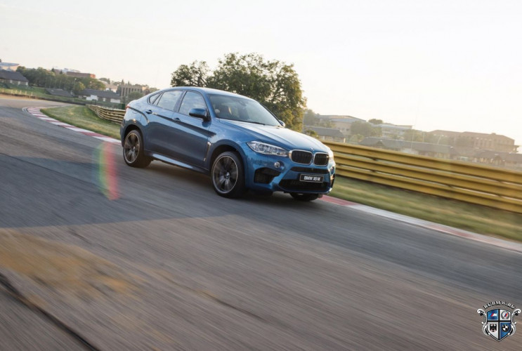 Как заказать уникальную курсовую работу по автомобильной промышленности BMW X6 серия F86